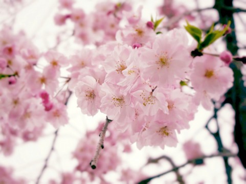 a1400_000501.jpg