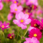 9月