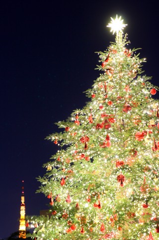 クリスマスツリーの画像